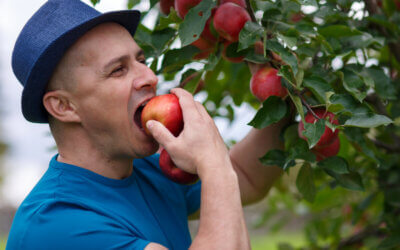 Life-Changing Benefits of Implant-Supported Dentures